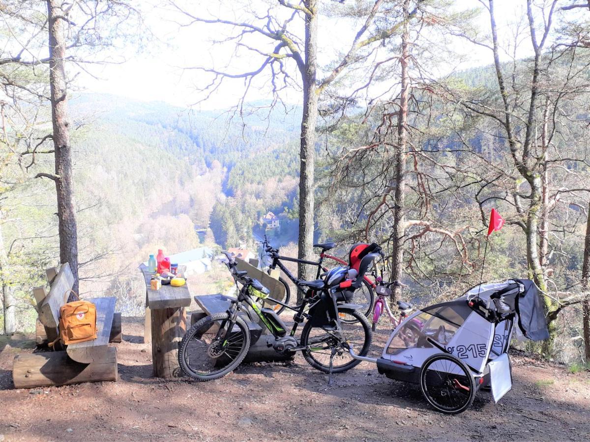 Ferienwohnung Traexler Thanstein Esterno foto