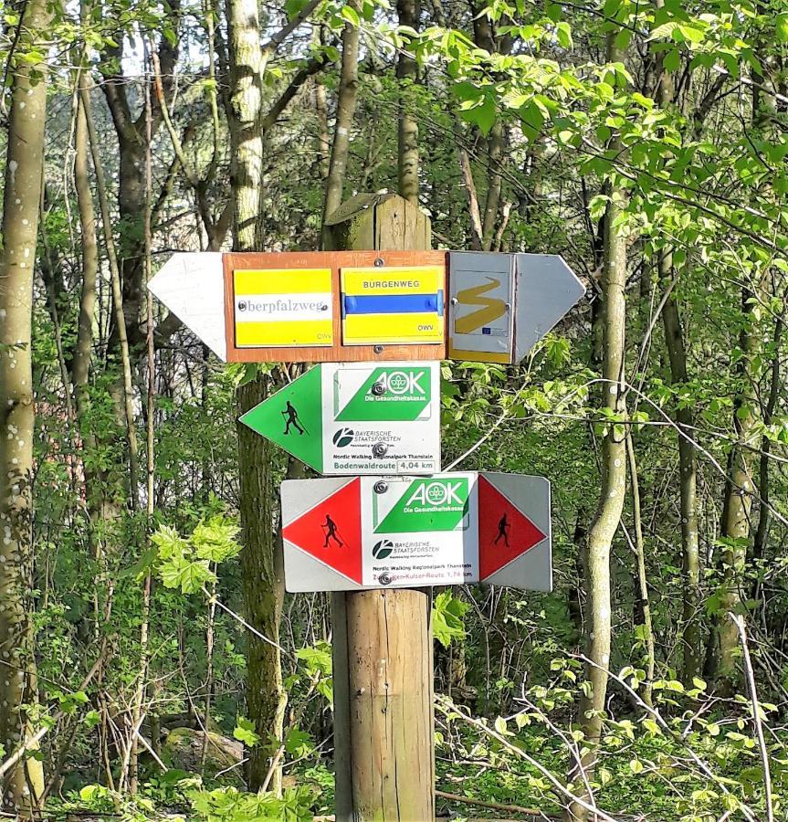 Ferienwohnung Traexler Thanstein Esterno foto